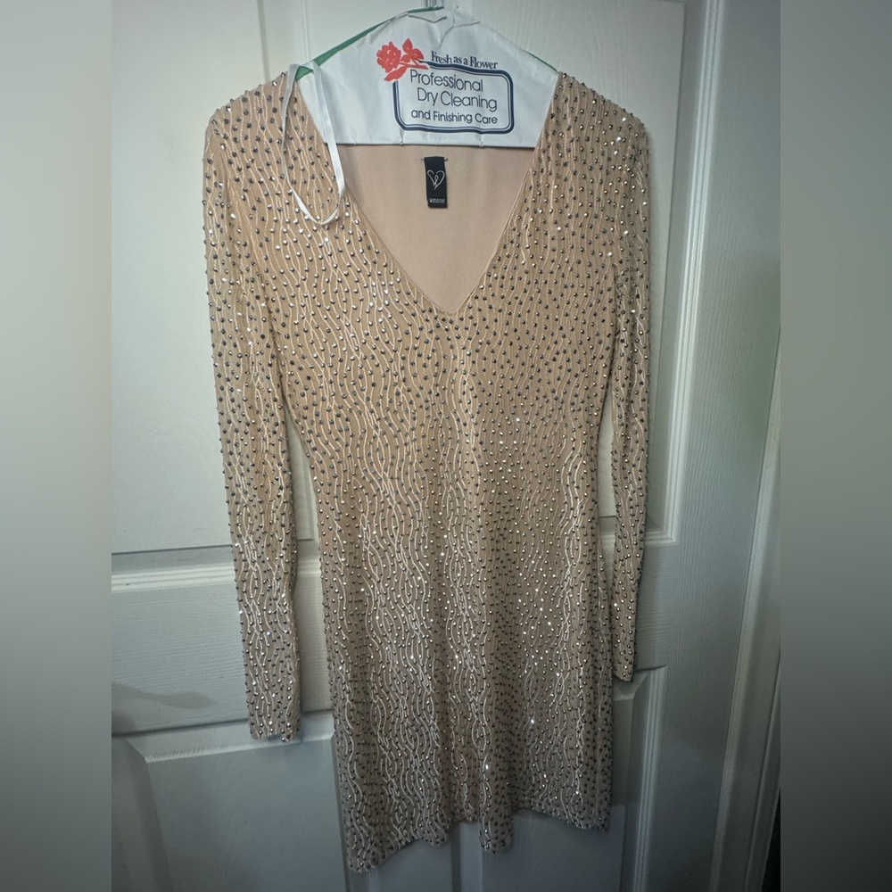 Windsor Elegant Beige Long Sleeve Dress with Sequins